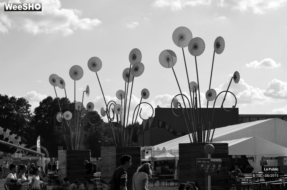 10/29 photos du spectacle Ambiance Cabaret vert Jour 2