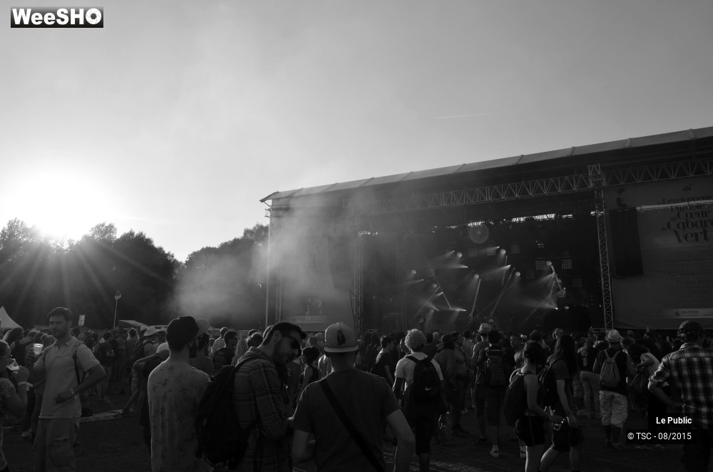 11/29 photos du spectacle Ambiance Cabaret vert Jour 2