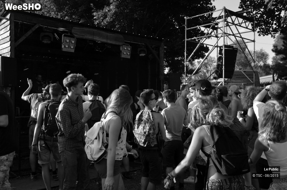 14/29 photos du spectacle Ambiance Cabaret vert Jour 2