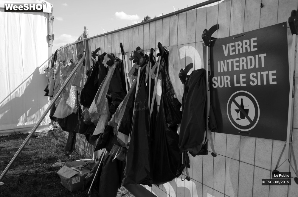 27/29 photos du spectacle Ambiance Cabaret vert Jour 2