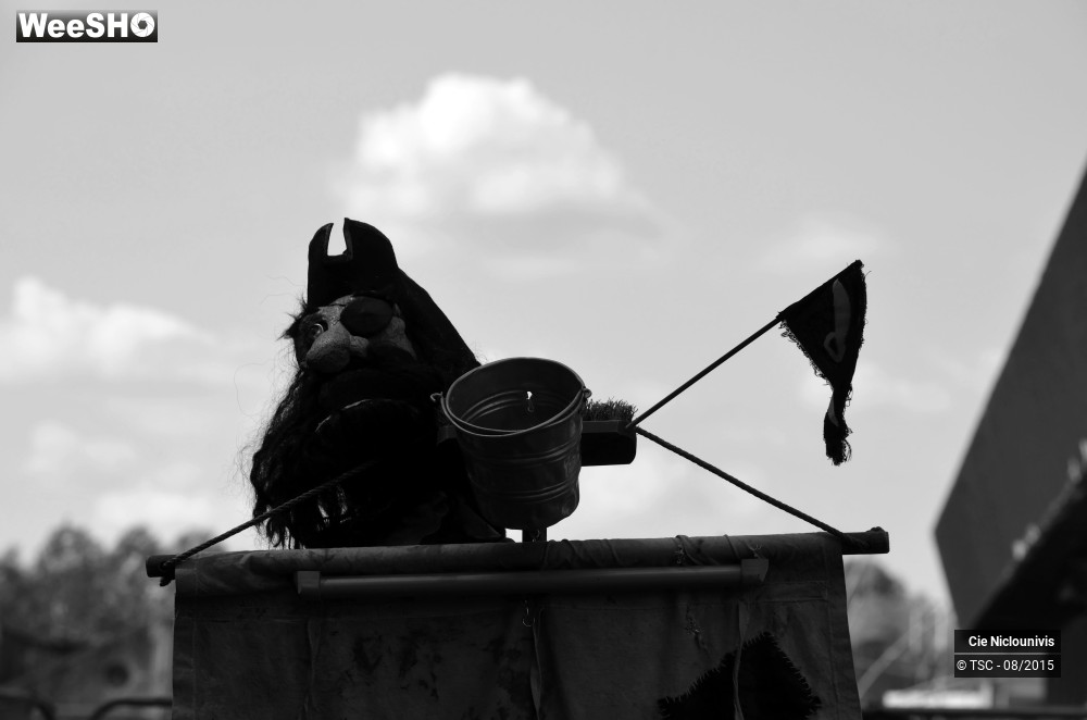 3/6 photos du spectacle La véritable histoire du terrible Barbe-noire