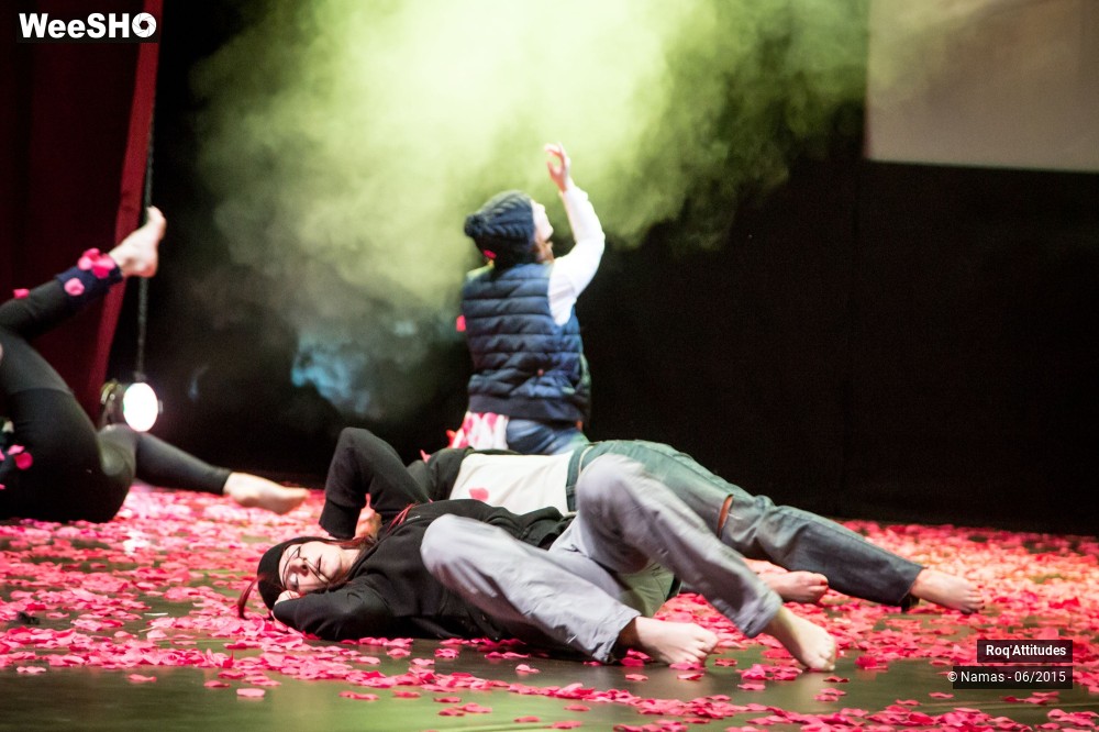 2/47 photos du spectacle Roq'Attitudes 2015 - Partie 1