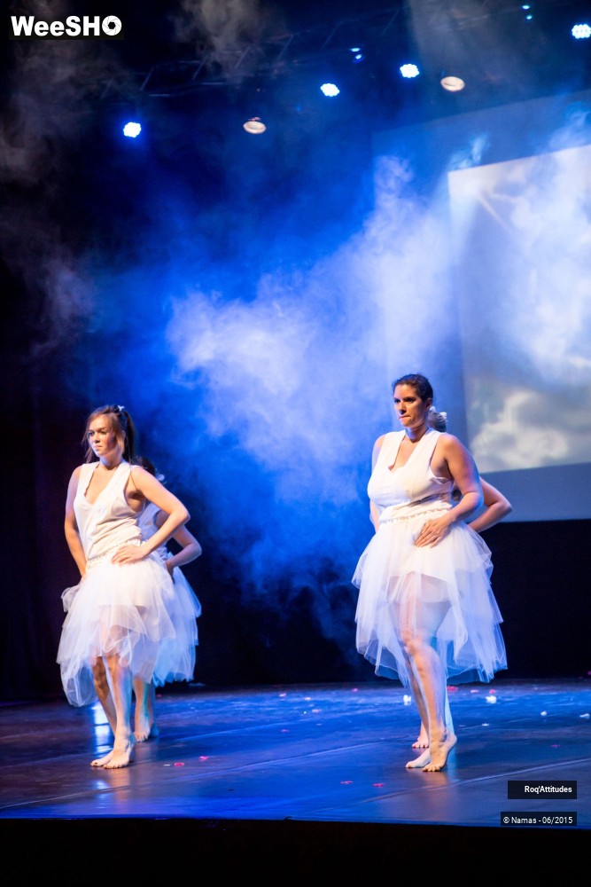 5/47 photos du spectacle Roq'Attitudes 2015 - Partie 1