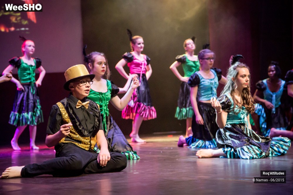 12/47 photos du spectacle Roq'Attitudes 2015 - Partie 1