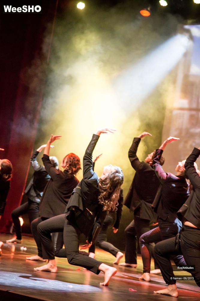 21/47 photos du spectacle Roq'Attitudes 2015 - Partie 1