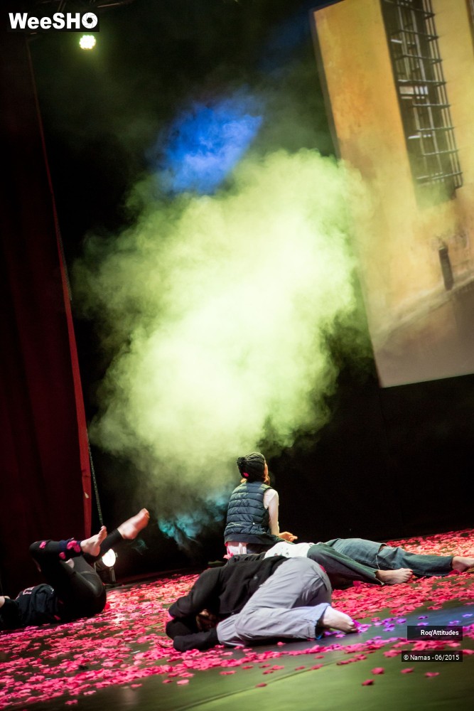 26/47 photos du spectacle Roq'Attitudes 2015 - Partie 1