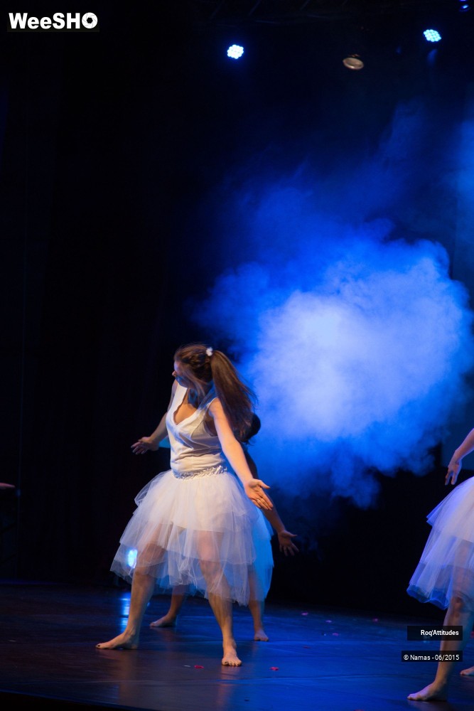 29/47 photos du spectacle Roq'Attitudes 2015 - Partie 1