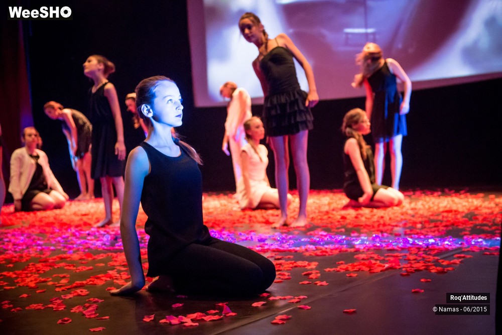 30/47 photos du spectacle Roq'Attitudes 2015 - Partie 1