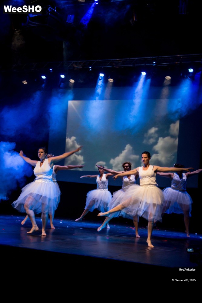 34/47 photos du spectacle Roq'Attitudes 2015 - Partie 1