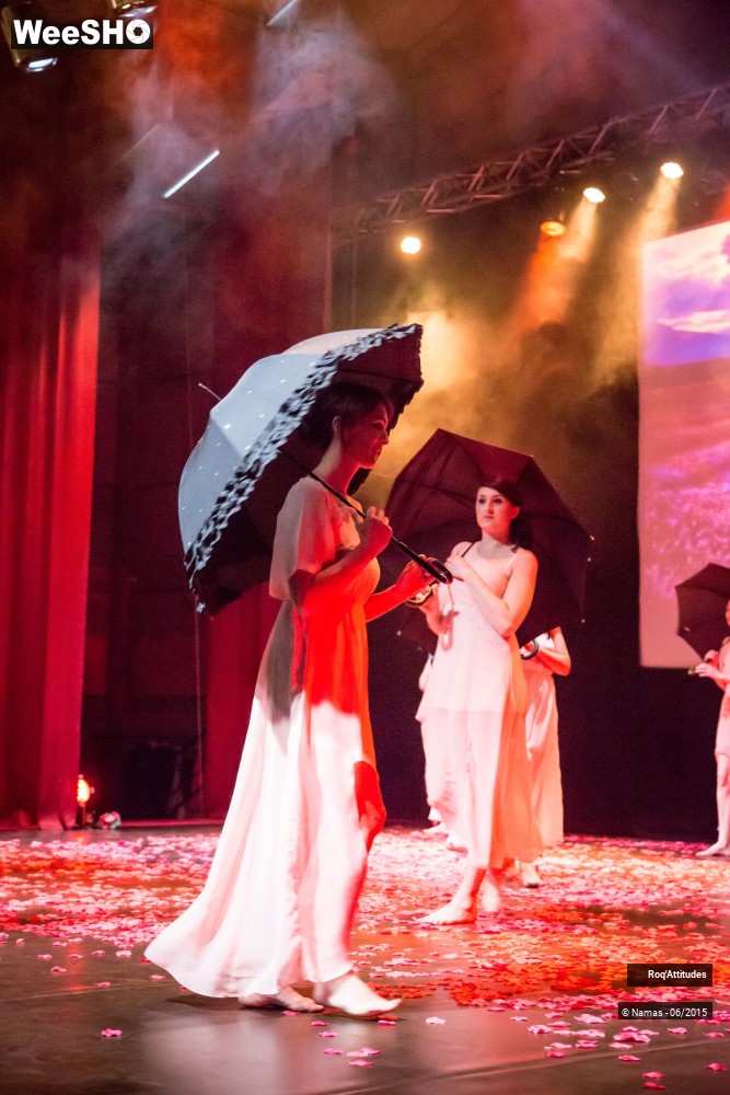 37/47 photos du spectacle Roq'Attitudes 2015 - Partie 1
