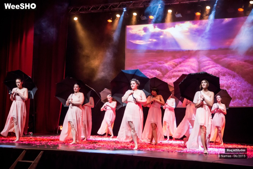 38/47 photos du spectacle Roq'Attitudes 2015 - Partie 1