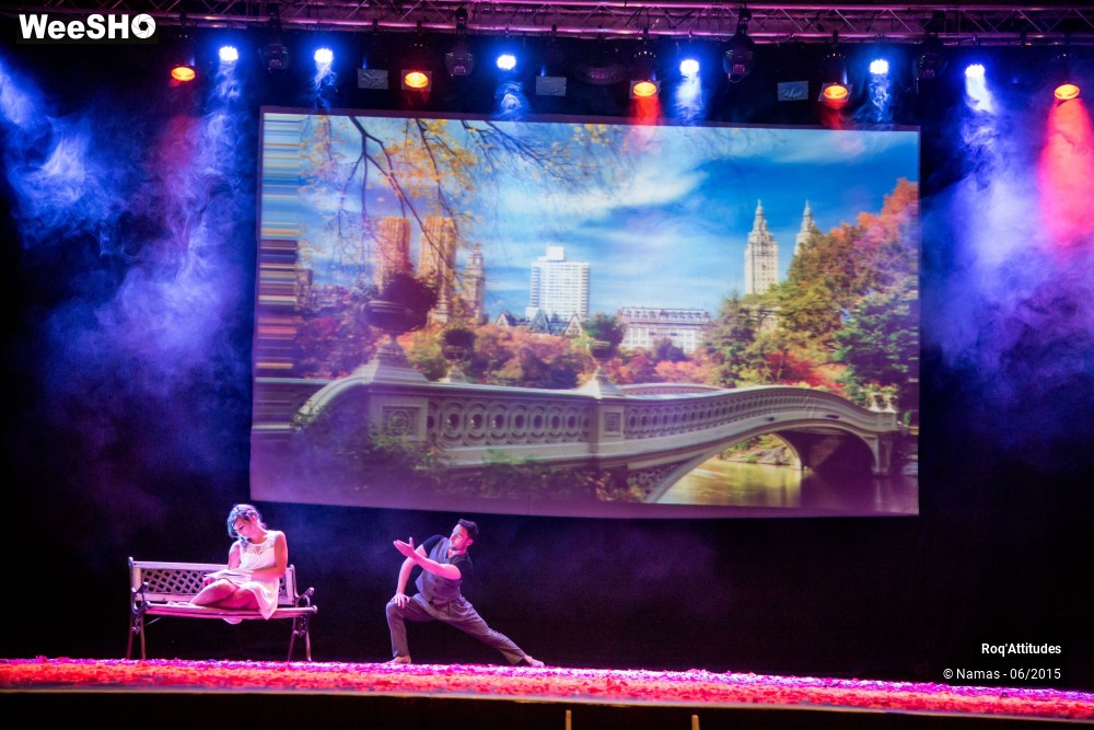 42/47 photos du spectacle Roq'Attitudes 2015 - Partie 1
