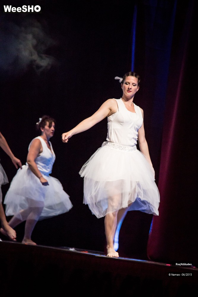 44/47 photos du spectacle Roq'Attitudes 2015 - Partie 1
