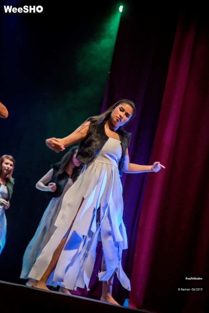 5/46 photos du spectacle Roq'Attitudes 2015 - Partie 2