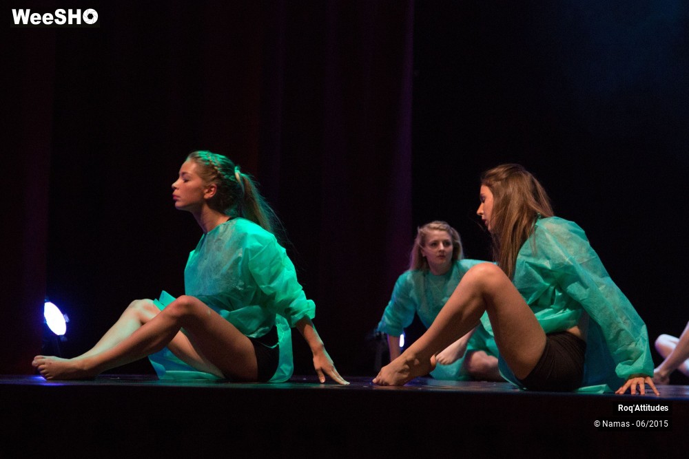 6/46 photos du spectacle Roq'Attitudes 2015 - Partie 2