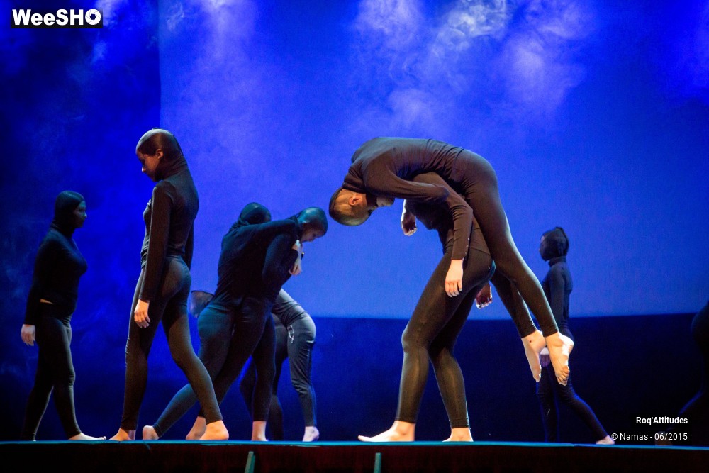 8/46 photos du spectacle Roq'Attitudes 2015 - Partie 2