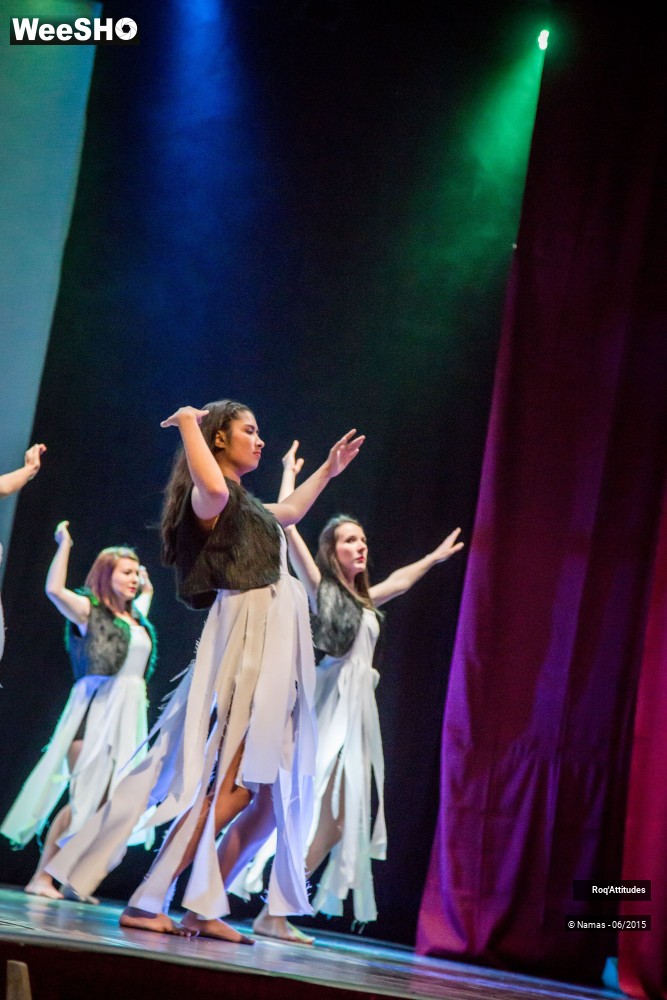 11/46 photos du spectacle Roq'Attitudes 2015 - Partie 2