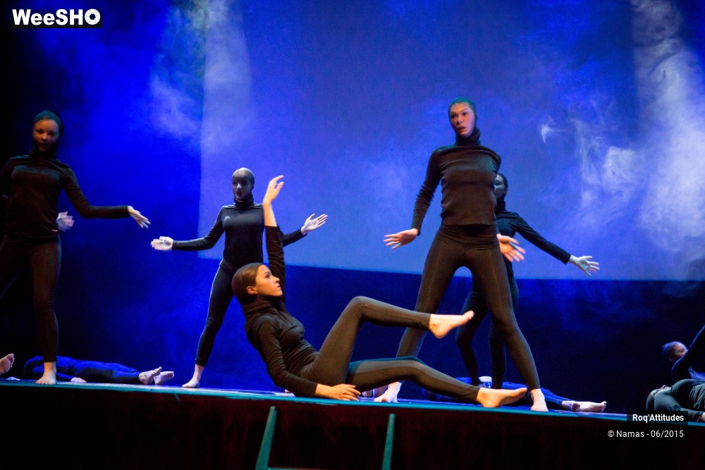 14/46 photos du spectacle Roq'Attitudes 2015 - Partie 2