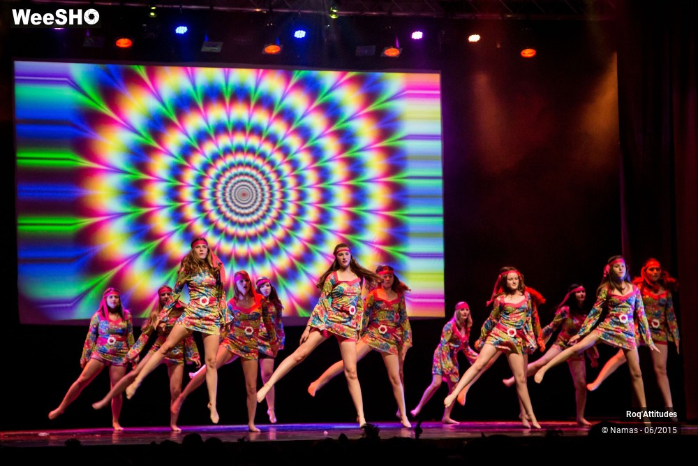 25/46 photos du spectacle Roq'Attitudes 2015 - Partie 2