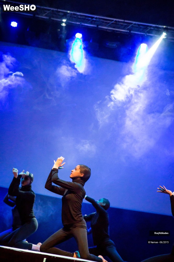 41/46 photos du spectacle Roq'Attitudes 2015 - Partie 2