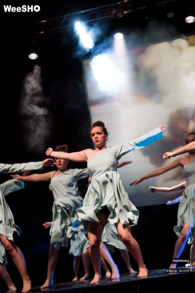 5/44 photos du spectacle Roq'Attitudes 2015 - Partie 3
