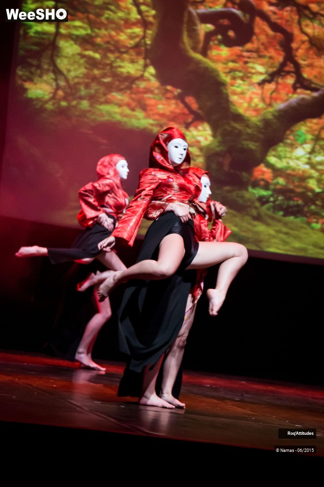 11/44 photos du spectacle Roq'Attitudes 2015 - Partie 3