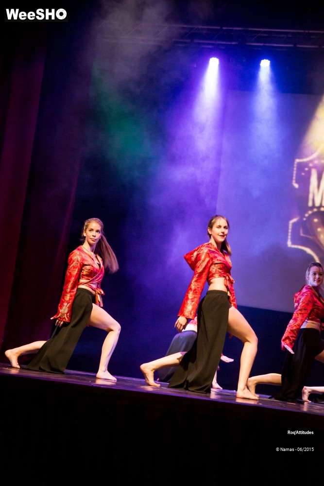 12/44 photos du spectacle Roq'Attitudes 2015 - Partie 3