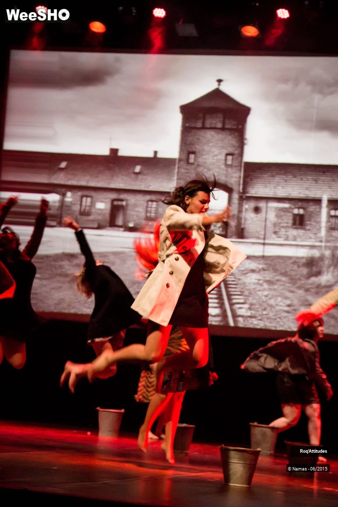 16/44 photos du spectacle Roq'Attitudes 2015 - Partie 3