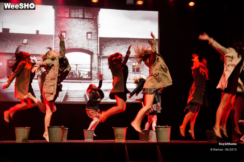 29/44 photos du spectacle Roq'Attitudes 2015 - Partie 3