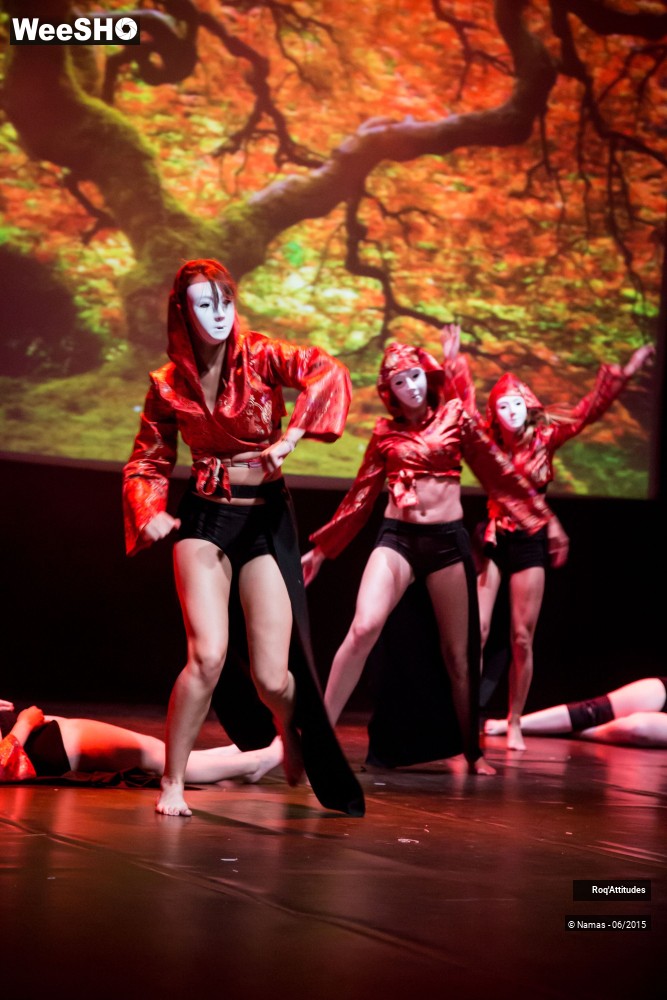 39/44 photos du spectacle Roq'Attitudes 2015 - Partie 3