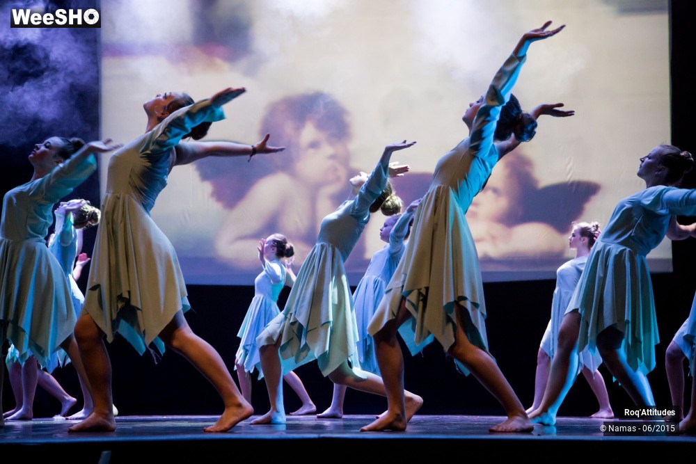 41/44 photos du spectacle Roq'Attitudes 2015 - Partie 3