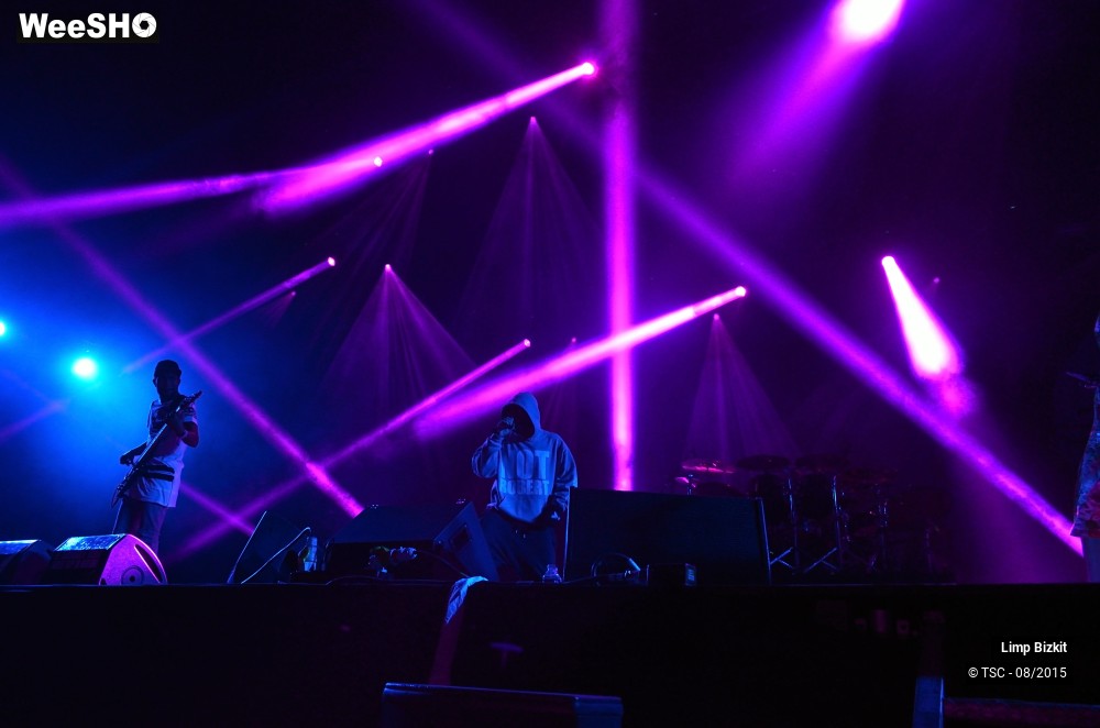 1/17 photos du spectacle Limp bizkit