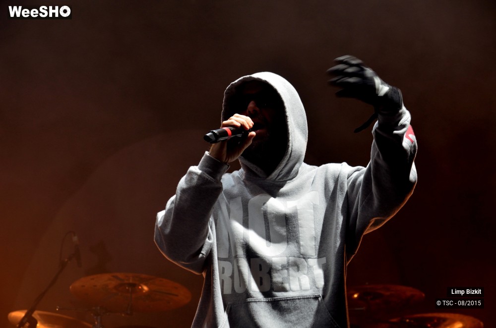 2/17 photos du spectacle Limp bizkit