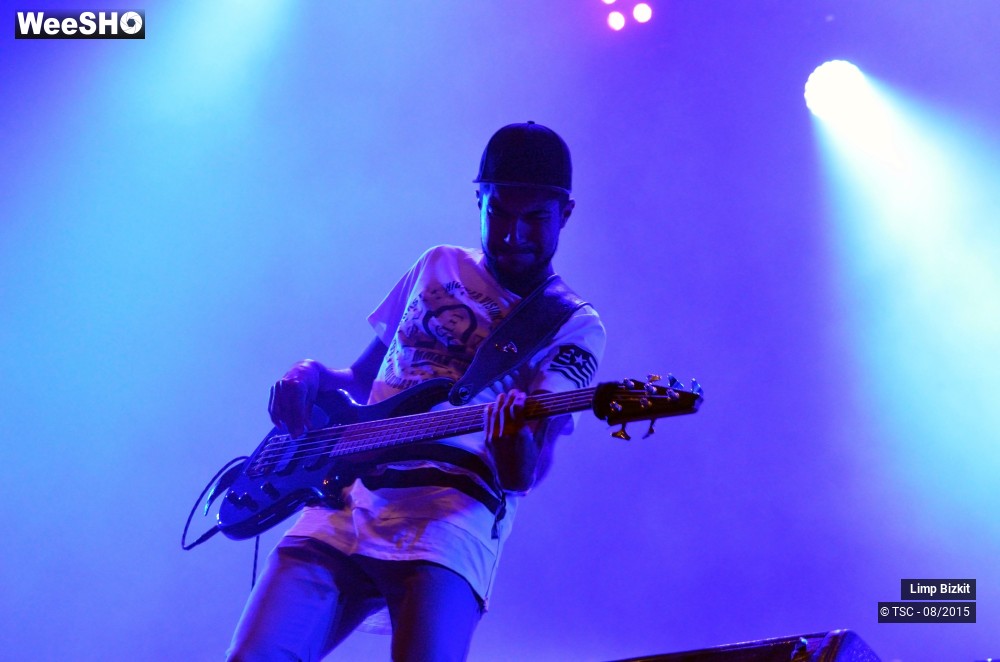 3/17 photos du spectacle Limp bizkit