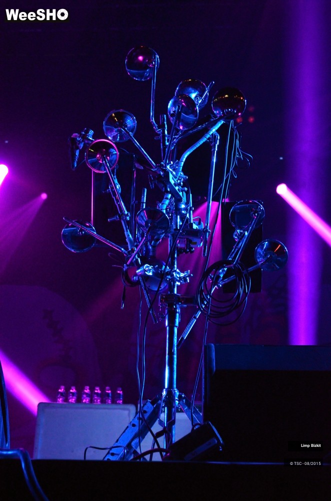 4/17 photos du spectacle Limp bizkit