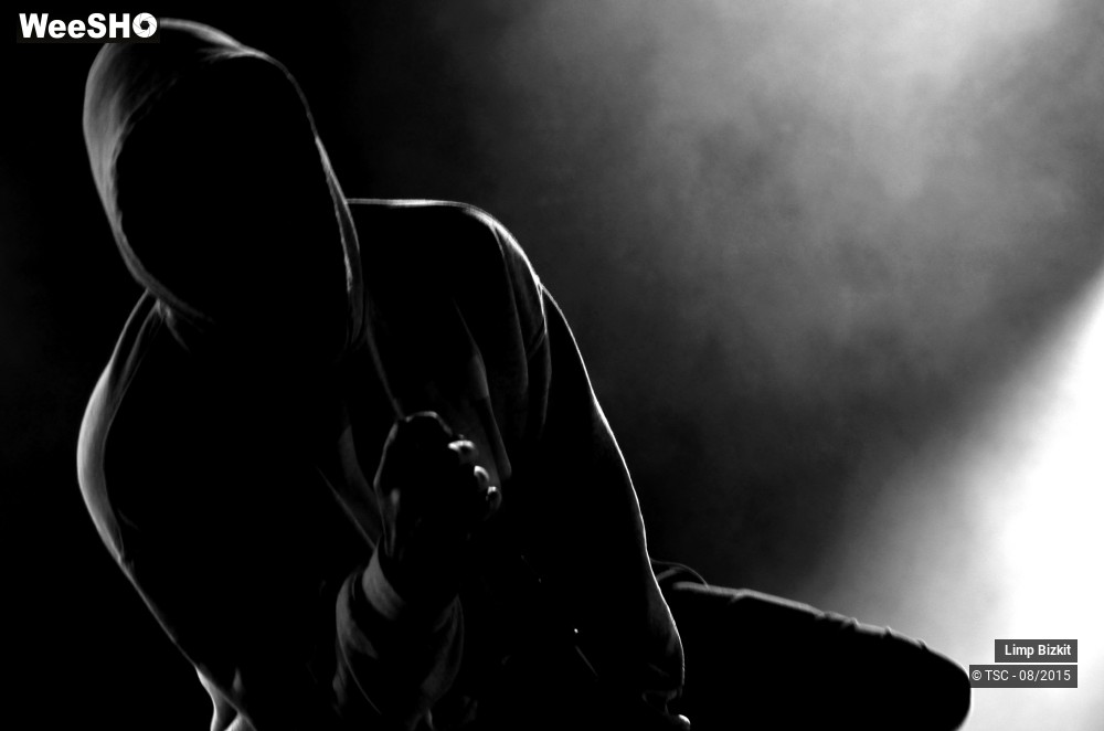 7/17 photos du spectacle Limp bizkit