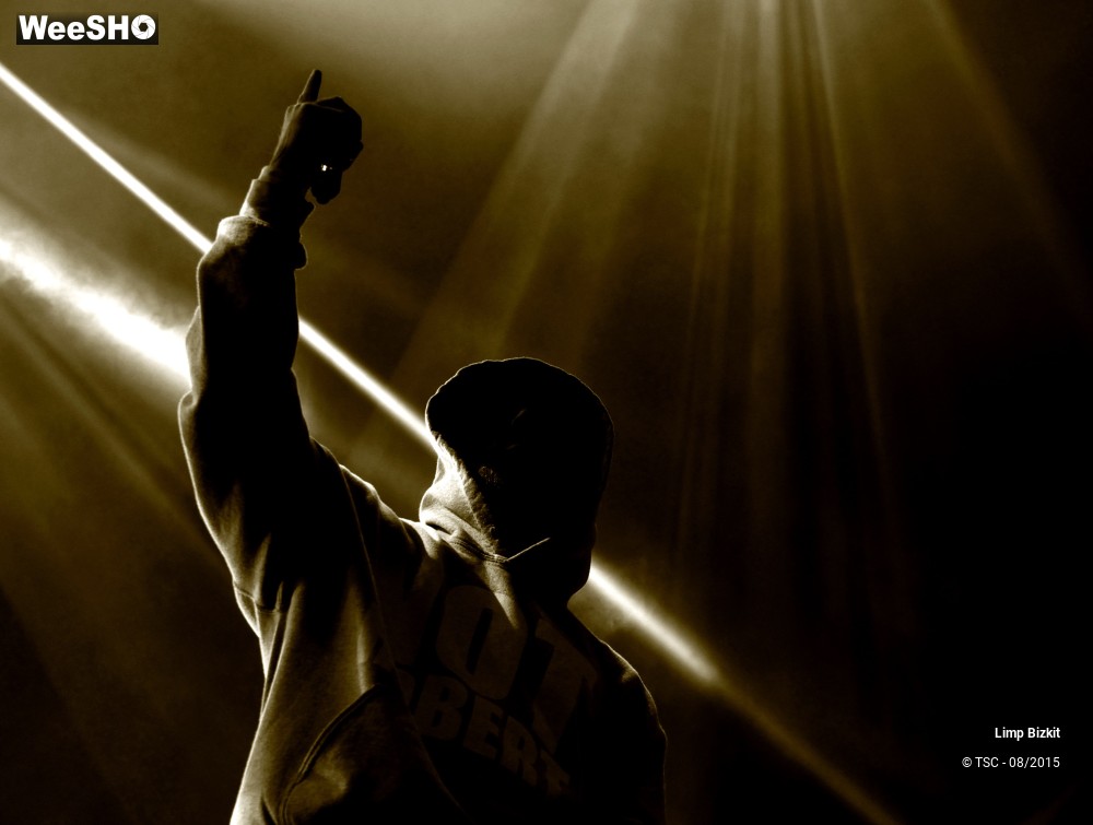 11/17 photos du spectacle Limp bizkit