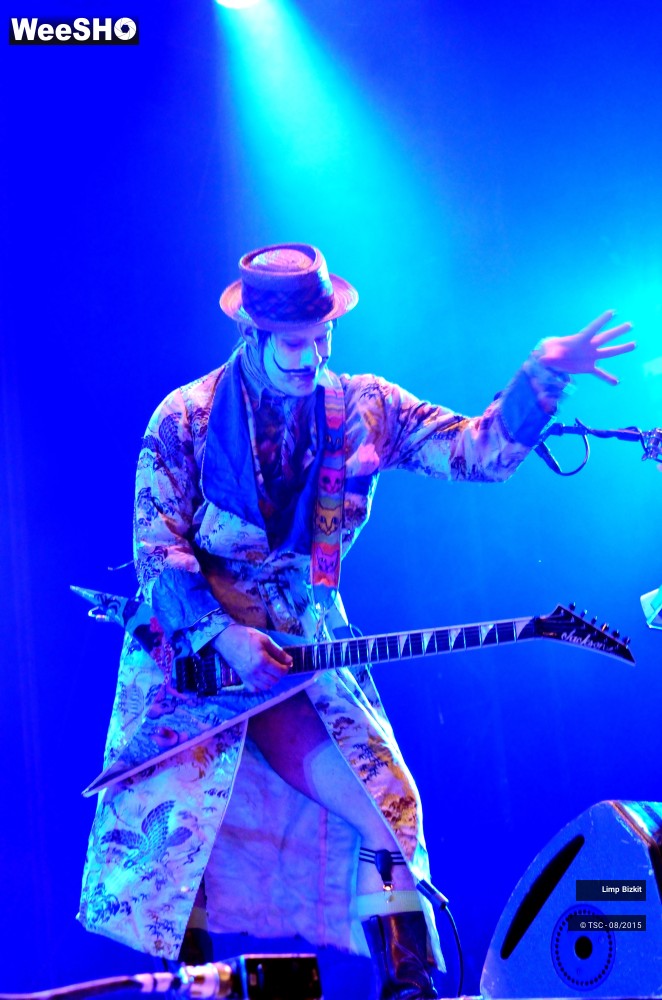 13/17 photos du spectacle Limp bizkit