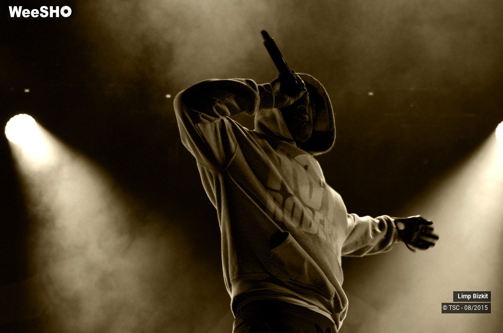 14/17 photos du spectacle Limp bizkit