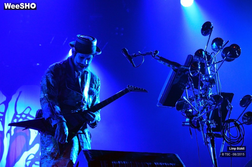 15/17 photos du spectacle Limp bizkit