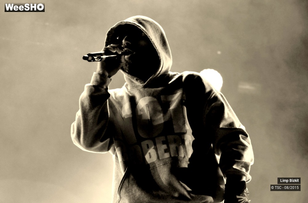 16/17 photos du spectacle Limp bizkit