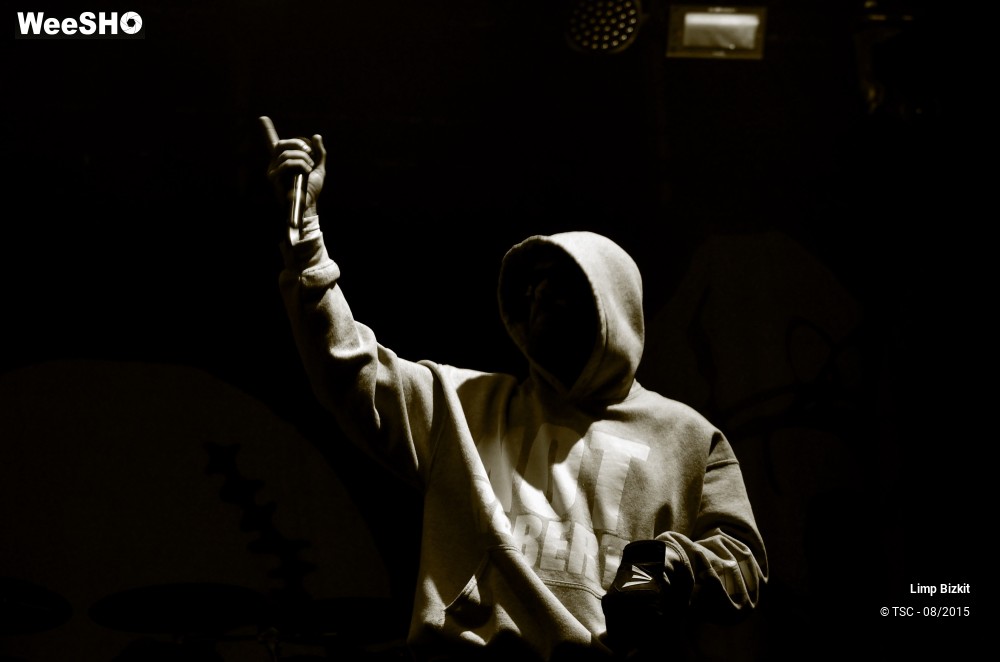 17/17 photos du spectacle Limp bizkit