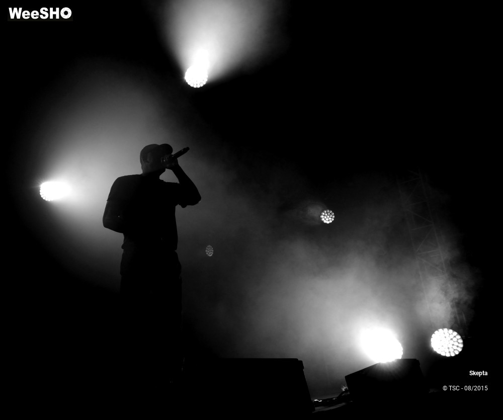 3/7 photos du spectacle Skepta