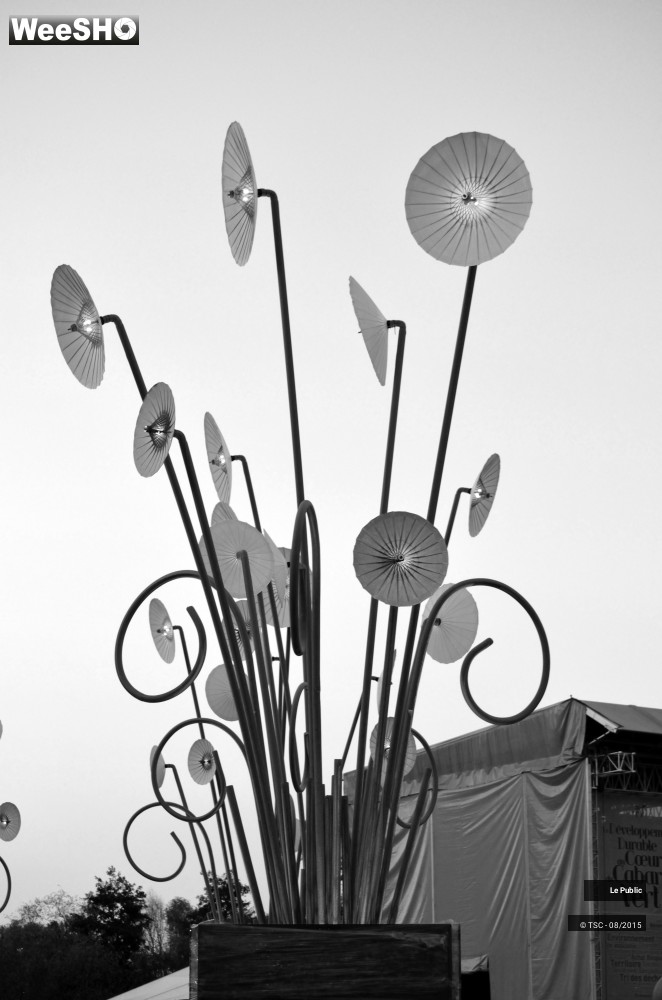 5/18 photos du spectacle Ambiance Cabaret vert 2015 Jour 3