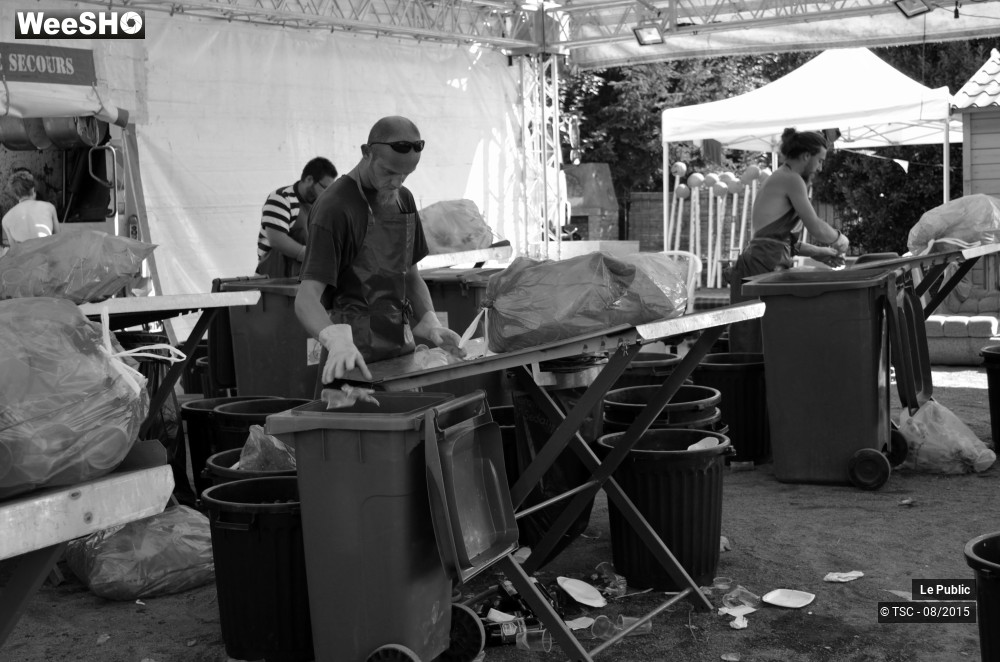 6/18 photos du spectacle Ambiance Cabaret vert 2015 Jour 3