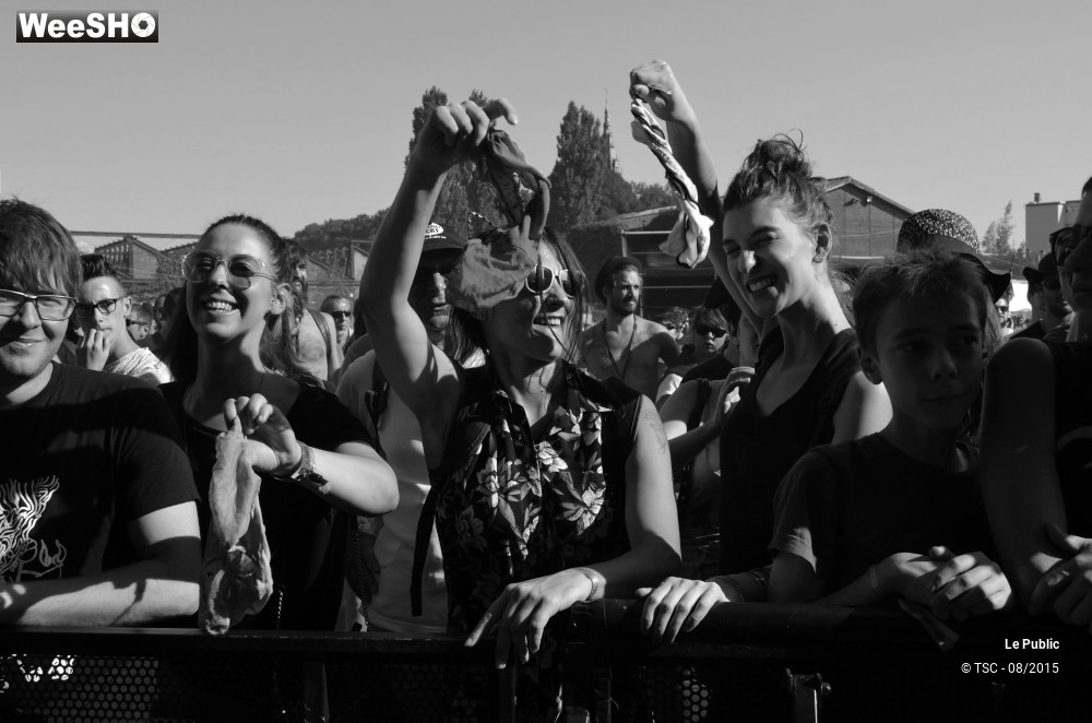 11/18 photos du spectacle Ambiance Cabaret vert 2015 Jour 3