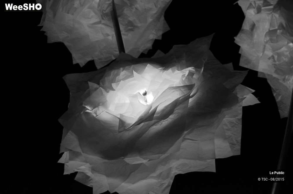 12/18 photos du spectacle Ambiance Cabaret vert 2015 Jour 3