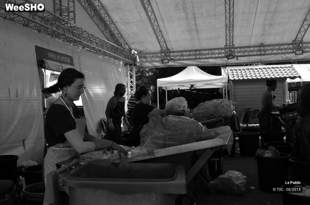 13/18 photos du spectacle Ambiance Cabaret vert 2015 Jour 3