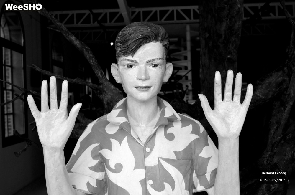 5/10 photos du spectacle Le dénicheur