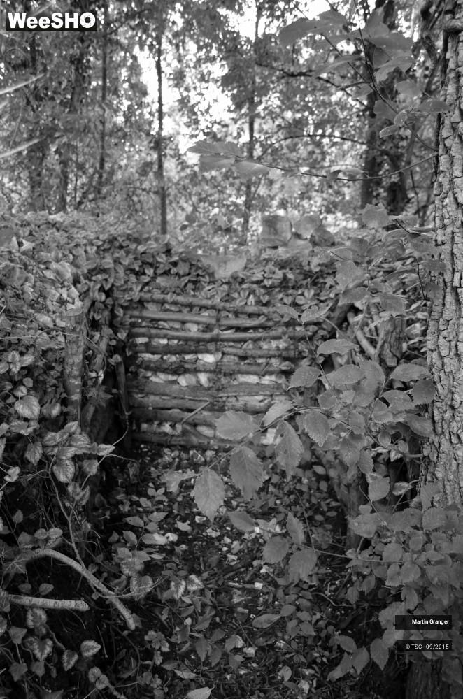 5/38 photos du spectacle Ateliers d'écriture itinérants